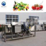 Avocado Cherry Longan Lemon Washer Machine Fruit Vegetable Washing Machine thumbnail-5