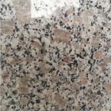 gray granite,G383 pearl flower granite slabs
