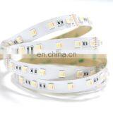 SMD5050 12/24 Volt Waterproof Outdoor Ip68 Flexible Led Strip Lights Rgb With Remote Controller