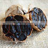 Good Vegetable Product From China Black Garlic thumbnail-1