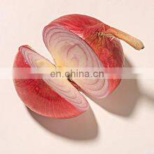 Professional Automatic 300kg/h Onion Peeler Machine thumbnail-5