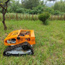 Robot Lawn Mower for Hills, China Remote Control Lawn Mower Price, Radio Controlled Mower for Sale thumbnail-4