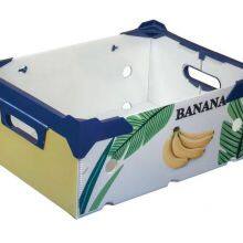 Reusable Corrugated Plastic Foldable Boxes – Eco-Friendly Produce Transport Solutions thumbnail-4