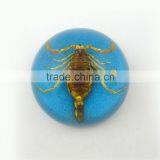 2016 New Business Particularly Paperweight With Real Insect Spide thumbnail-5