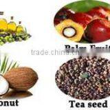 Coconut Extraction Peanut Oil Peanut Processing Machine thumbnail-6