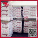 Tinned and Plastic Packed Canned Tomato Ketchup thumbnail-2