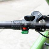 Sightseeing Velo Taxi, Electric Pedicab ,Tricycle for Passenger thumbnail-4