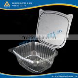clear fruit packaging plastic tray
