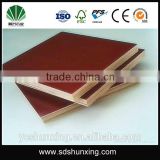 Hong yu red waterproof building plywood