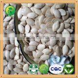 High Quality Wholesale Shine Skin Pumpkin Seeds