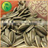 Sunflower Seeds Chinese Vegetable Seeds thumbnail-2