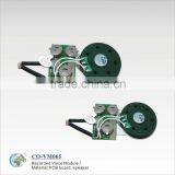 Greeting Card Programmable Sound Module thumbnail-1