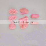 TPR Toys Sticky Human Organ TPR Organ thumbnail-1