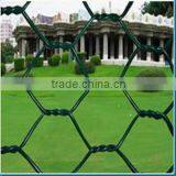 Hot Dipped Galvanized Hexagonal Wire Netting