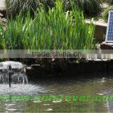 Solar Water Pump System for Pond (SPB20-501210) thumbnail-1