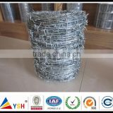 2016 Alibaba sale BWG16x16 | 12x14, hot dipped galvanized barbed wire fence