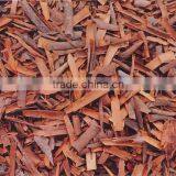 Broken Cassia Best Quality and Price thumbnail-1