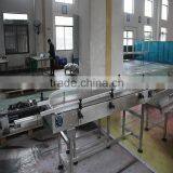 Plastic Slat Chain Conveyor System for Different Industry thumbnail-1