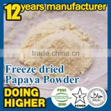 100% natural High quality factory supply papaya powder in Dried Fruit