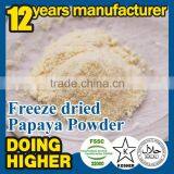 100% Natural High Quality Factory Supply Papaya Powder in Dried Fruit thumbnail-1