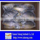 400-600g Golden Pompano Frozen Golden Pomfret thumbnail-4