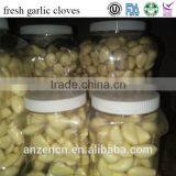 Premium Fresh Garlic Cloves From Jinxiang thumbnail-2