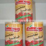 70G-4500G China Hot Sell Canned Tomato Paste Factory Gino Tomato Paste thumbnail-3