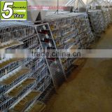 poultry quail cage farming equipment