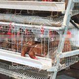 African Chicken Farm Project