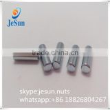 Special Custom Stainless Steel Straight Dowel Pin from manufacturer