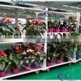17 Display Flower Trolley, Flower Trolley Cart CC for Netherlands, Transport Trolley thumbnail-5