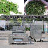 Moringa Leaves Drying Sterilizing Machine thumbnail-1