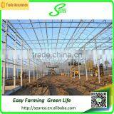 Commercial Greenhouse for Agriculture Flower Grow thumbnail-5
