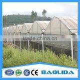 Multi-span Tunnelgreenhouse for Fruit thumbnail-4
