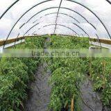 Anti-uv 1.1x50m 100% pp Ground Cover thumbnail-1