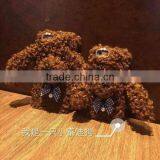 3D Hairy Dog Mobile Shell, Poodle Protective Case for IPhone 6 6 Plus thumbnail-4