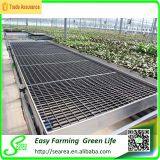 Greenhouse Benches | Greenhouse Bench thumbnail-1