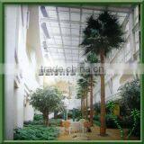 Established Artificial Washington Palm Trees Home For Sale Artificial Plants thumbnail-4