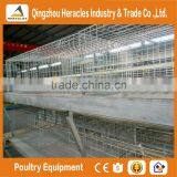 Heracles Factory Price Poultry Farming Equipment H Type Chicken Layer Cage for Sale thumbnail-6