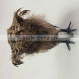 Halloween Products thumbnail-3