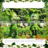 2015 Latest Designs Wholesale All Types of Ornamental Plants for Sale at Low Price thumbnail-1