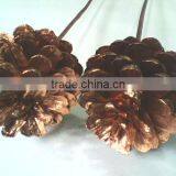 Copper Pine Cone On Stem thumbnail-1