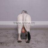 Definitive Brahman Looking Right thumbnail-4