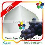 TPBI Black and White Growing Bag Fruit and Vegetable Protection Paper Bag Grape Growing Paper Bag thumbnail-1
