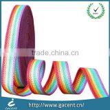 Woven Luggage Straps Custom Size Nylon Webbing Band