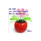 Car Sunflower Camera thumbnail-1