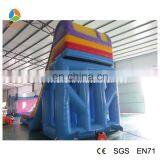 2017 Aier Inflatable Slide/giant Inflatable Slide/ Summer Promote Good Price Inflatable Slide for Sale thumbnail-4