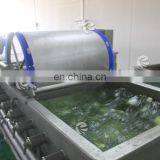 Industrial Automatic Vortex Fruit and Vegetable Washing Machine thumbnail-6