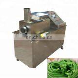 Multi-functional Stuffed Pasta Machine Stuffed Noodle Extruder Machine thumbnail-4