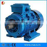 THREE PHASE ELECTRIC MOTOR thumbnail-5